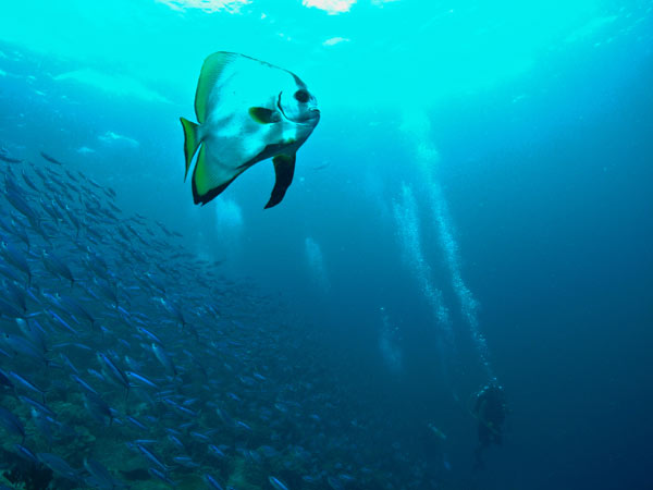 Raja Ampat Indonesia