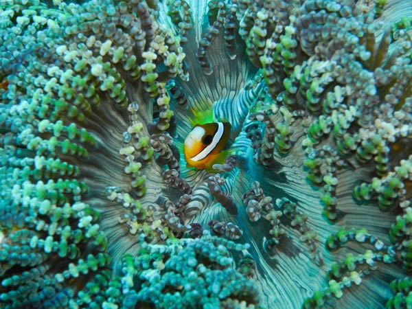 Raja Ampat Indonesia