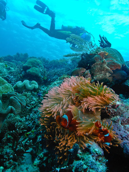 Raja Ampat Indonesia