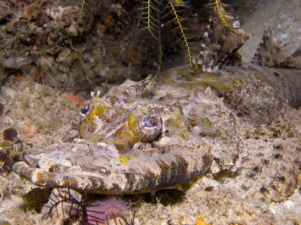 Raja Ampat Indonesia