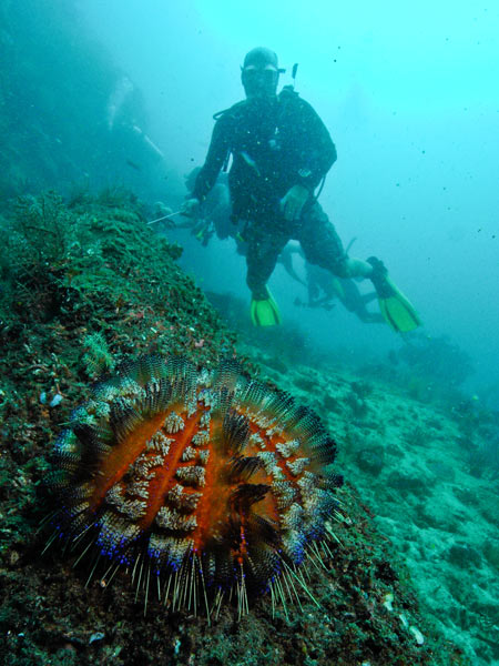 Raja Ampat Indonesia