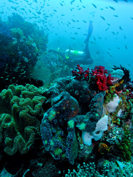 Raja Ampat Indonesia