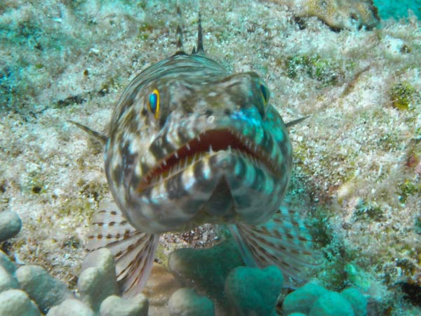 Raja Ampat Indonesia