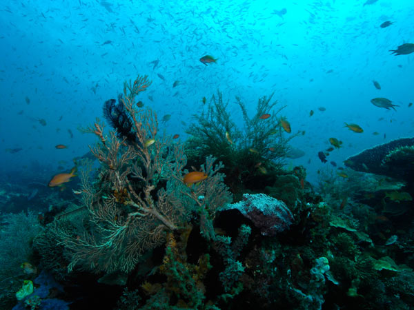 Raja Ampat Indonesia