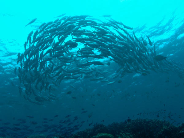 Raja Ampat Indonesia