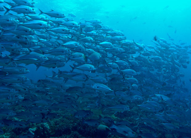 Raja Ampat Indonesia