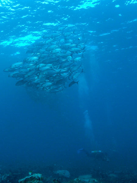 Raja Ampat Indonesia