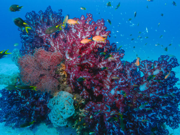 Raja Ampat Indonesia