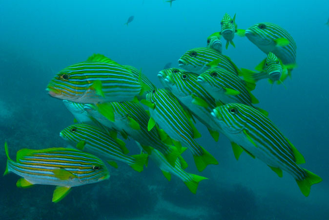 Raja Ampat Indonesia