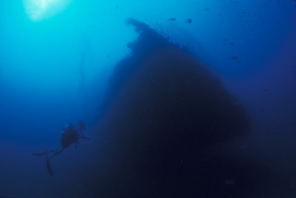 Yongala Shipwreck - Steam Ship - Australia