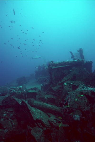 Transport Ship Carlisle