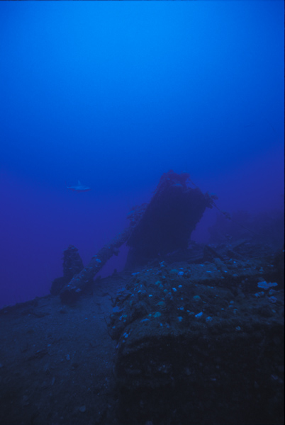 Transport Ship Carlisle